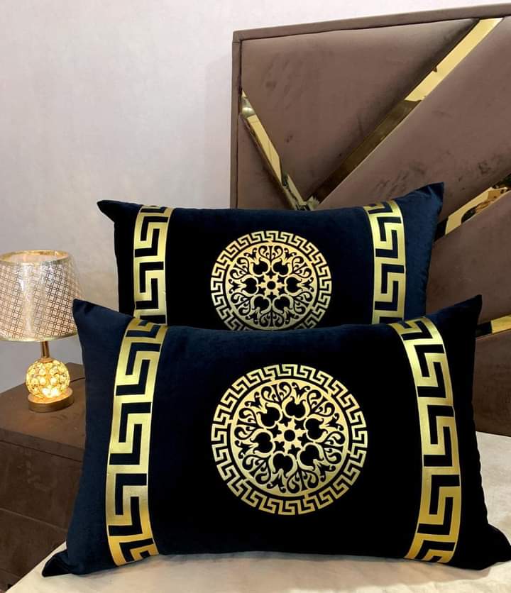 Luxury Soft VELVET | 2pc Pillow Cover | Vibrant Design & Colors
