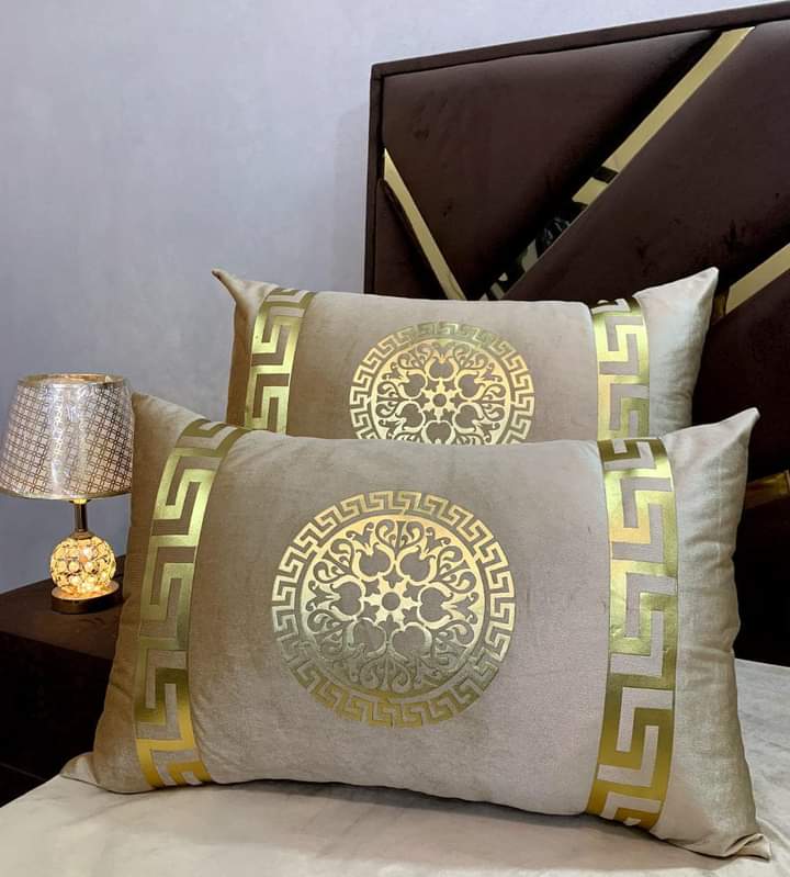 Luxury Soft VELVET | 2pc Pillow Cover | Vibrant Design & Colors